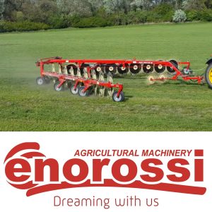 Csillagkerekes V rendképző. Enorossi Easyrake sorozat.