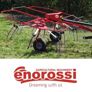 Rendterítő, rendkezelő. Enorossi.